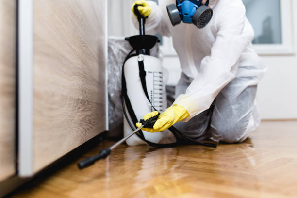 Reliable Fox Chase, PA Pest Control Solutions