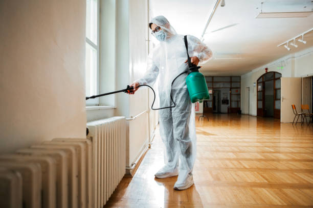 Flea Control Services in Fox Chase, PA
