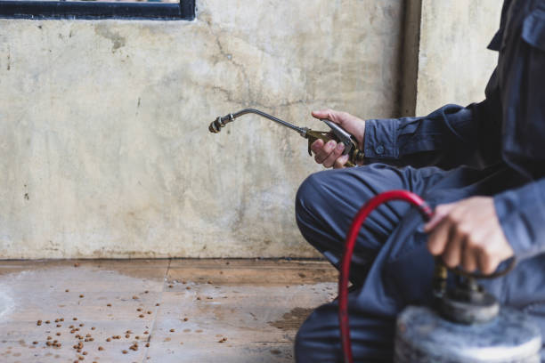 Best Best Pest Control Companies  in Fox Chase, PA